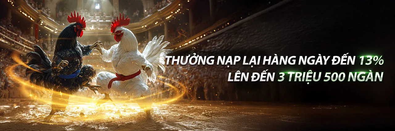 Đá gà trực tuyến kịch tính tại gk8888 win